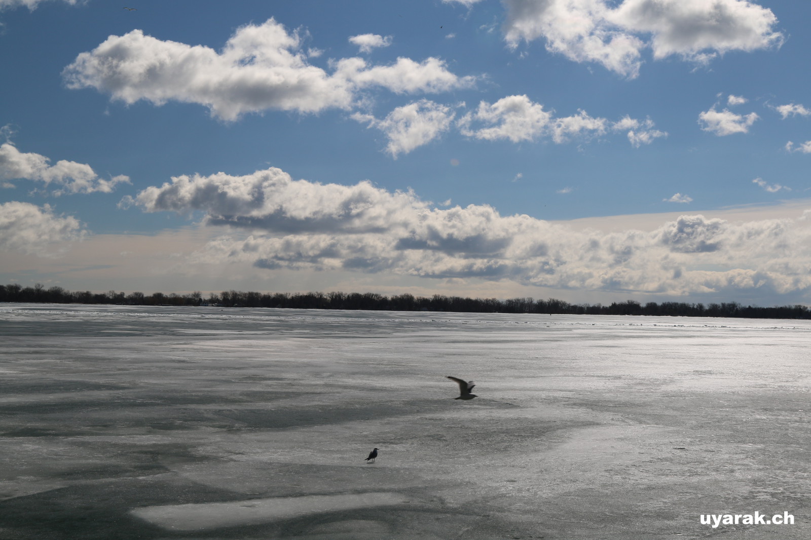 Lake Ontario 