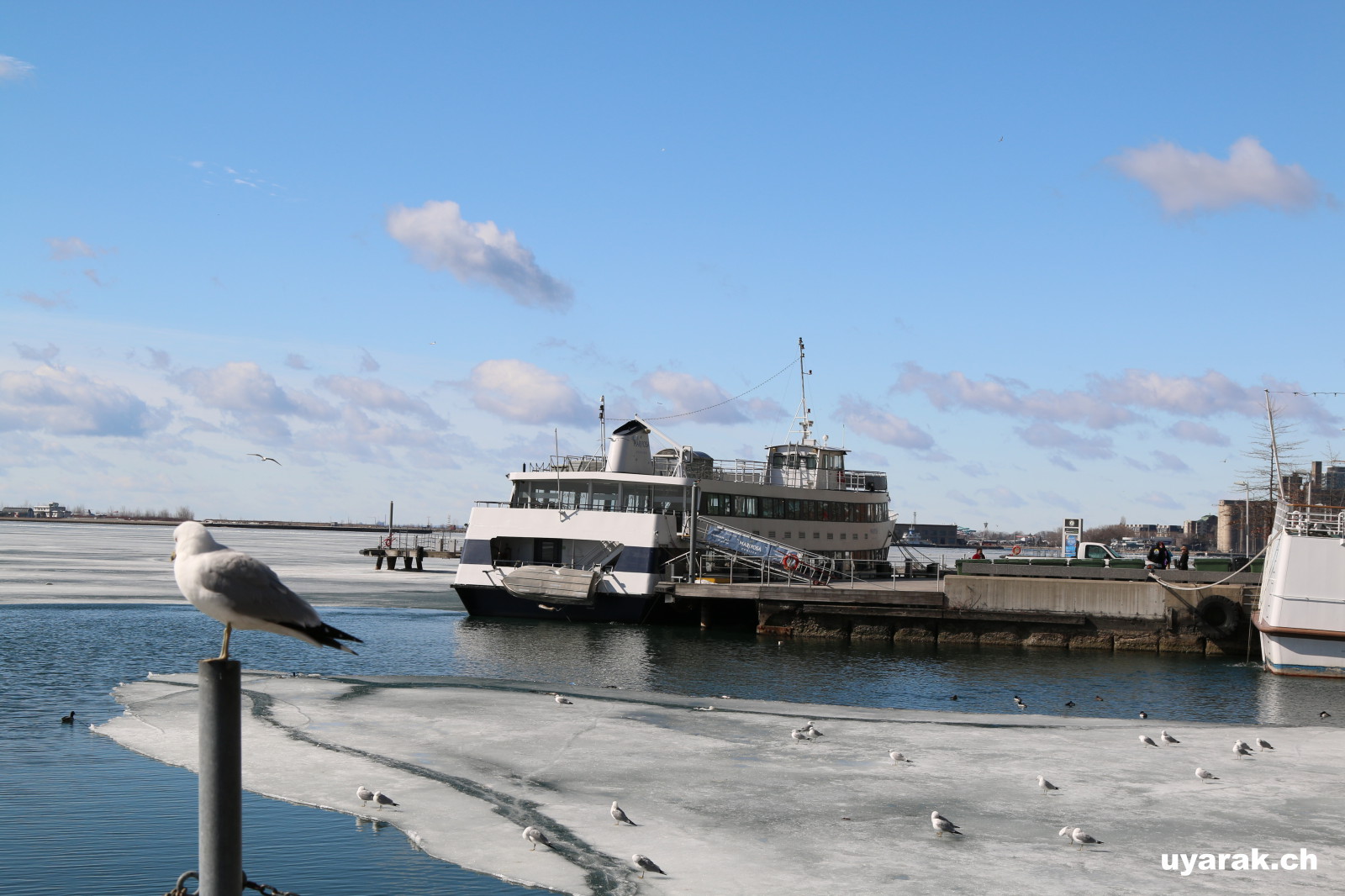 Am Lake Ontario 