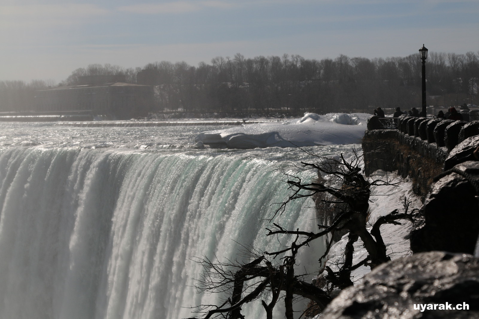 Horseshoe Falls 