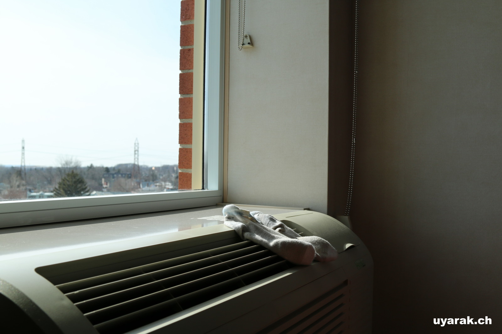 Fränzis Beitrag zu einem guten Raumklima 