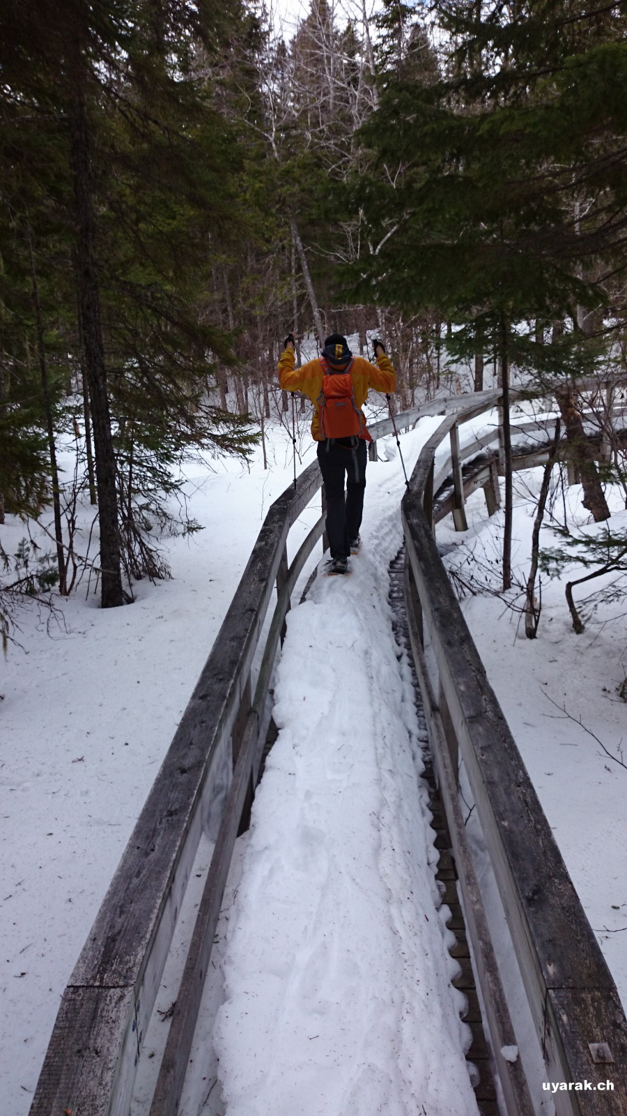 Auf dem Claire-Fontaine Trail im Kouchibouguac National Park, New Brunswick 