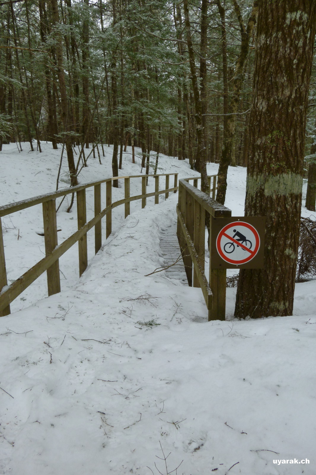 Kejimkujik National Park 