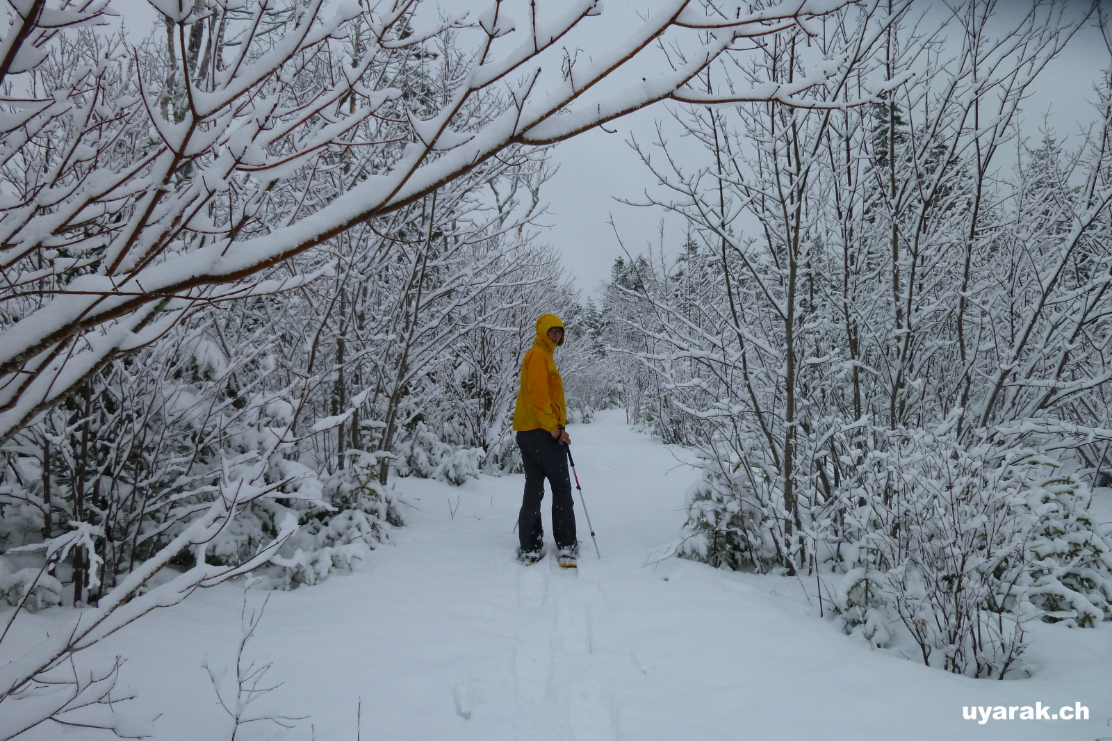 Unterwegs zum Balancing Rock, Tiverton, NS 