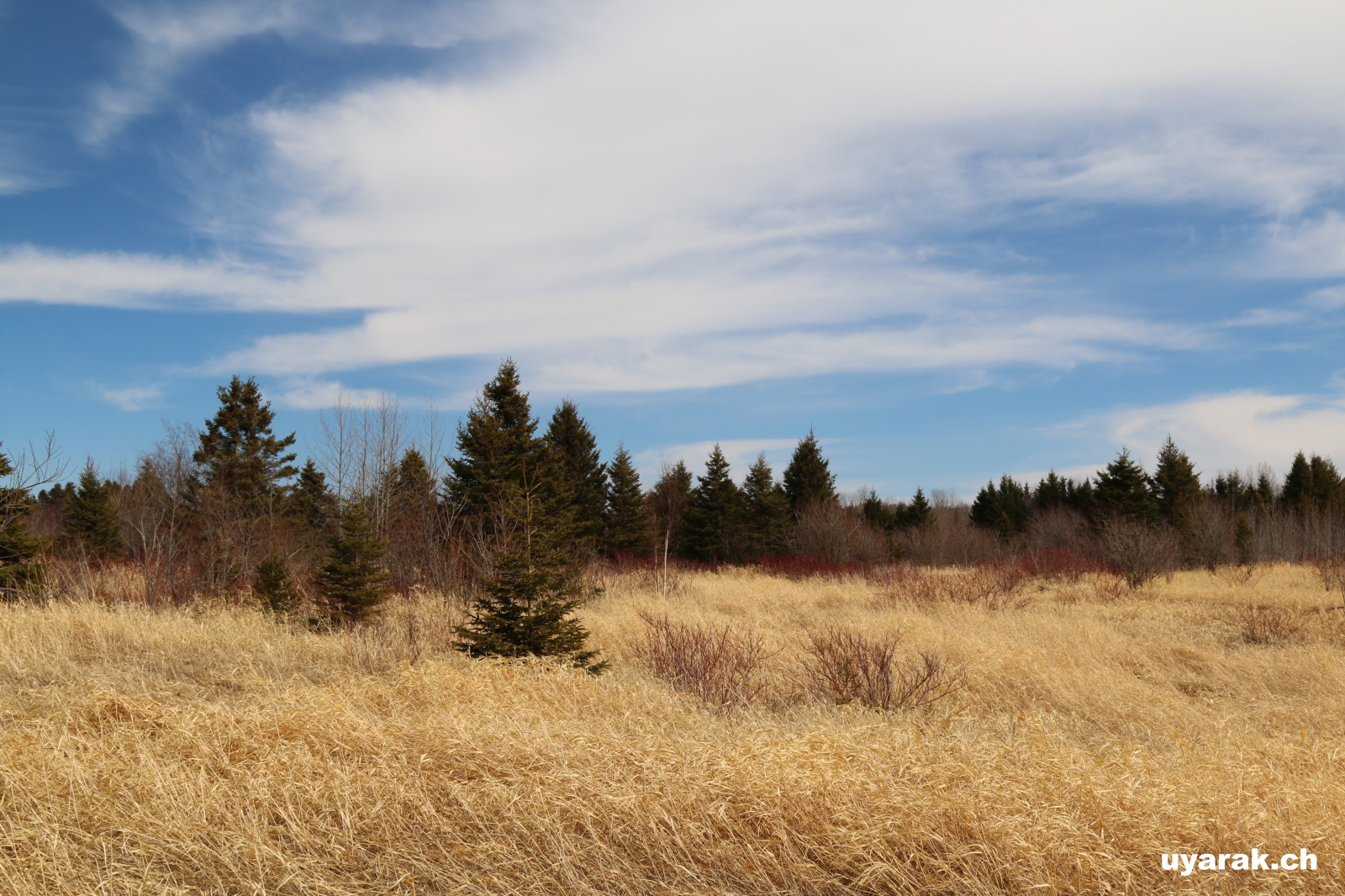 Rocher Blanc, Rimouski, Quebec 