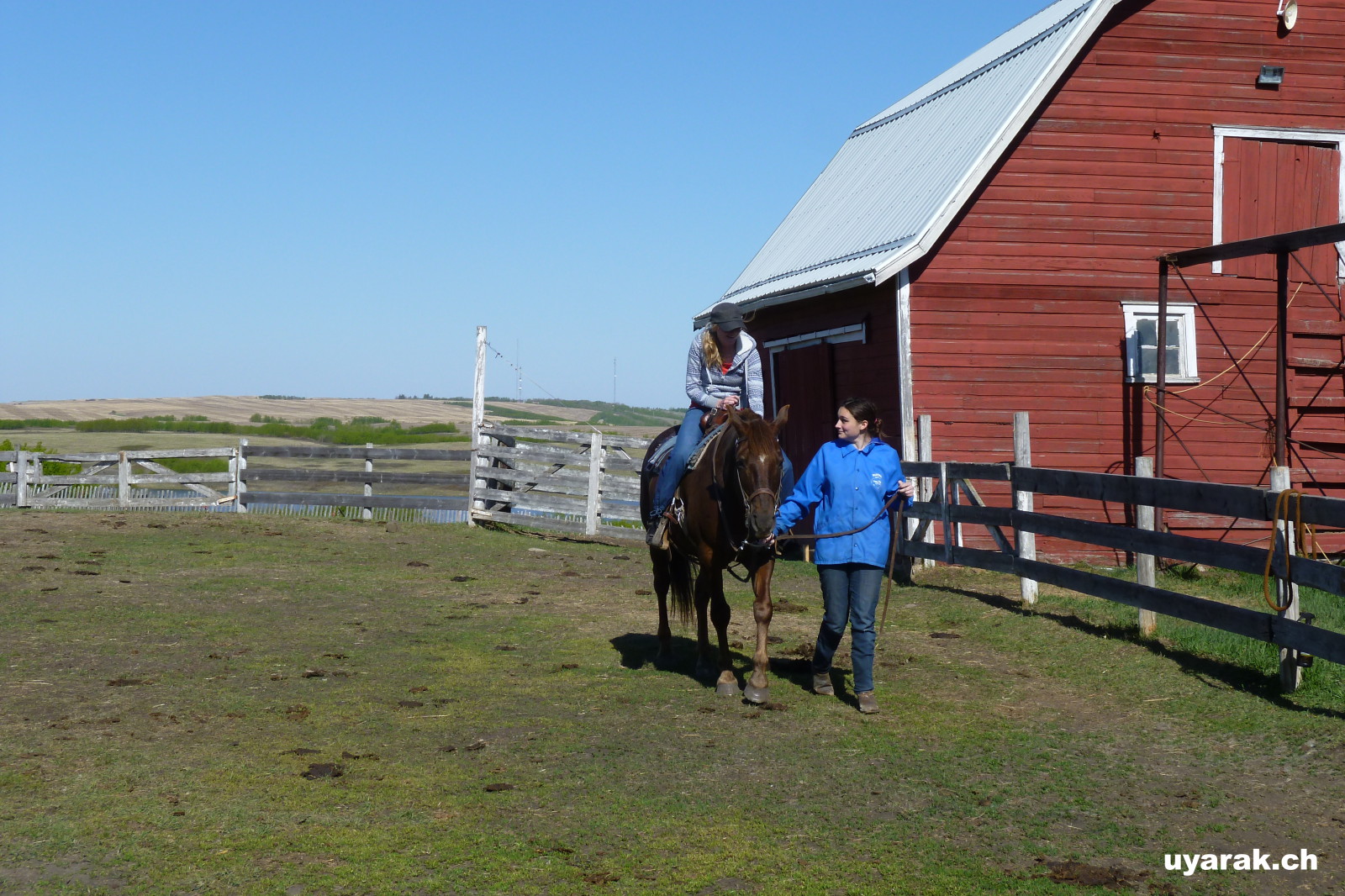 Fränzis Reitversuche auf der Hidden Lake Ranche, Alberta