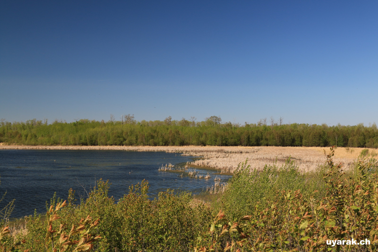 Oster Lake, Elk Island National Park, Alberta
