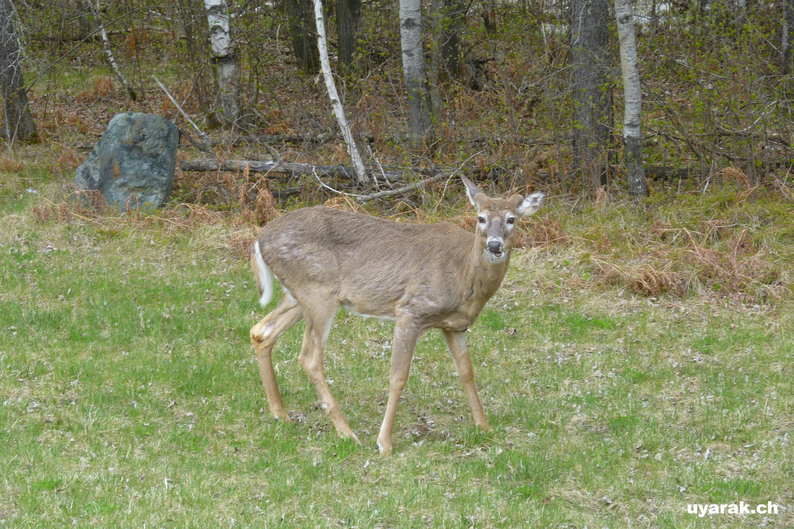 Whiteshell Provincial Park, Manitoba