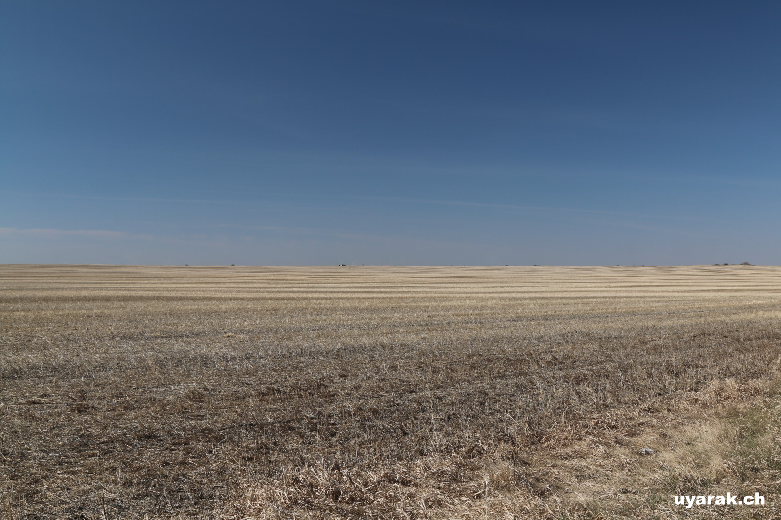 Am Ende der Welt?