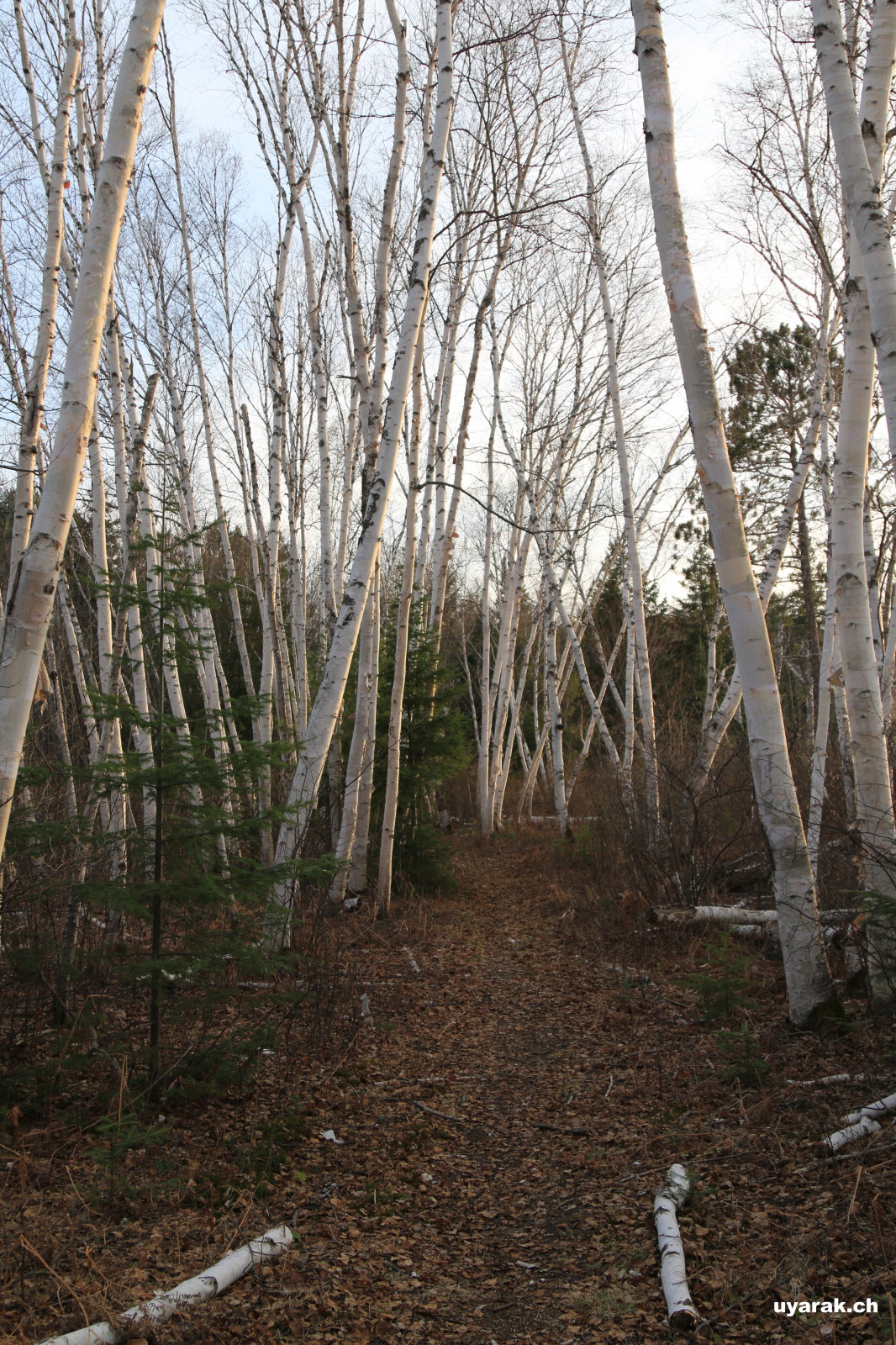 Elk Lodge 25 Family Park, North Bay, Ontario