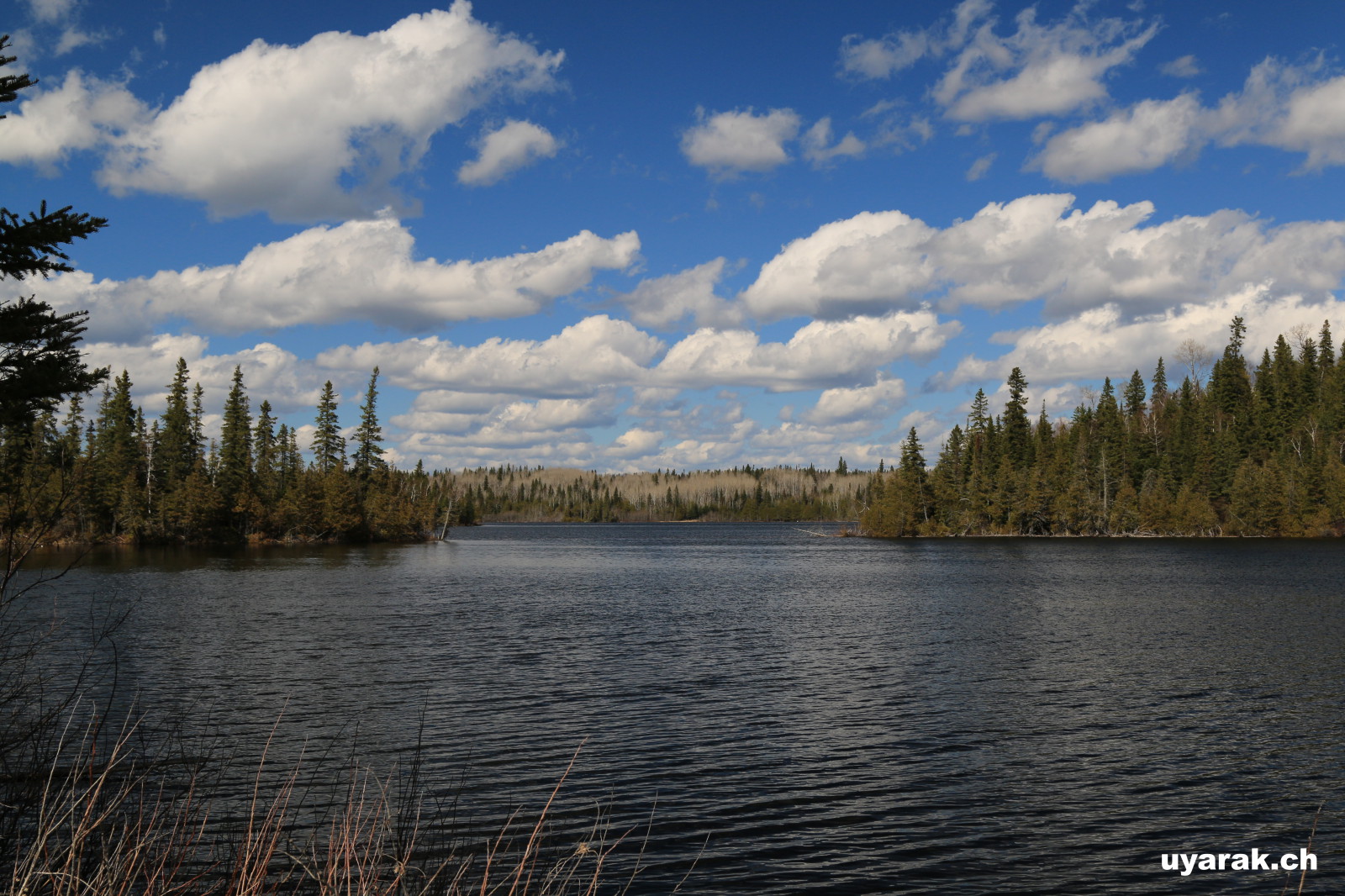 White Lake