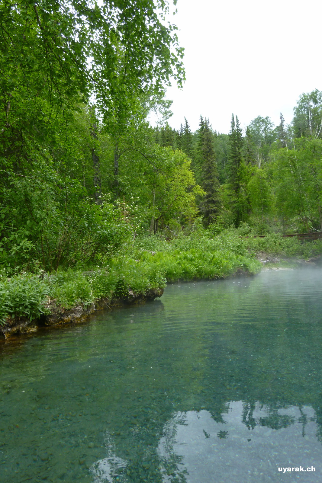 Liard River Hot Springs Provincial Park, BC