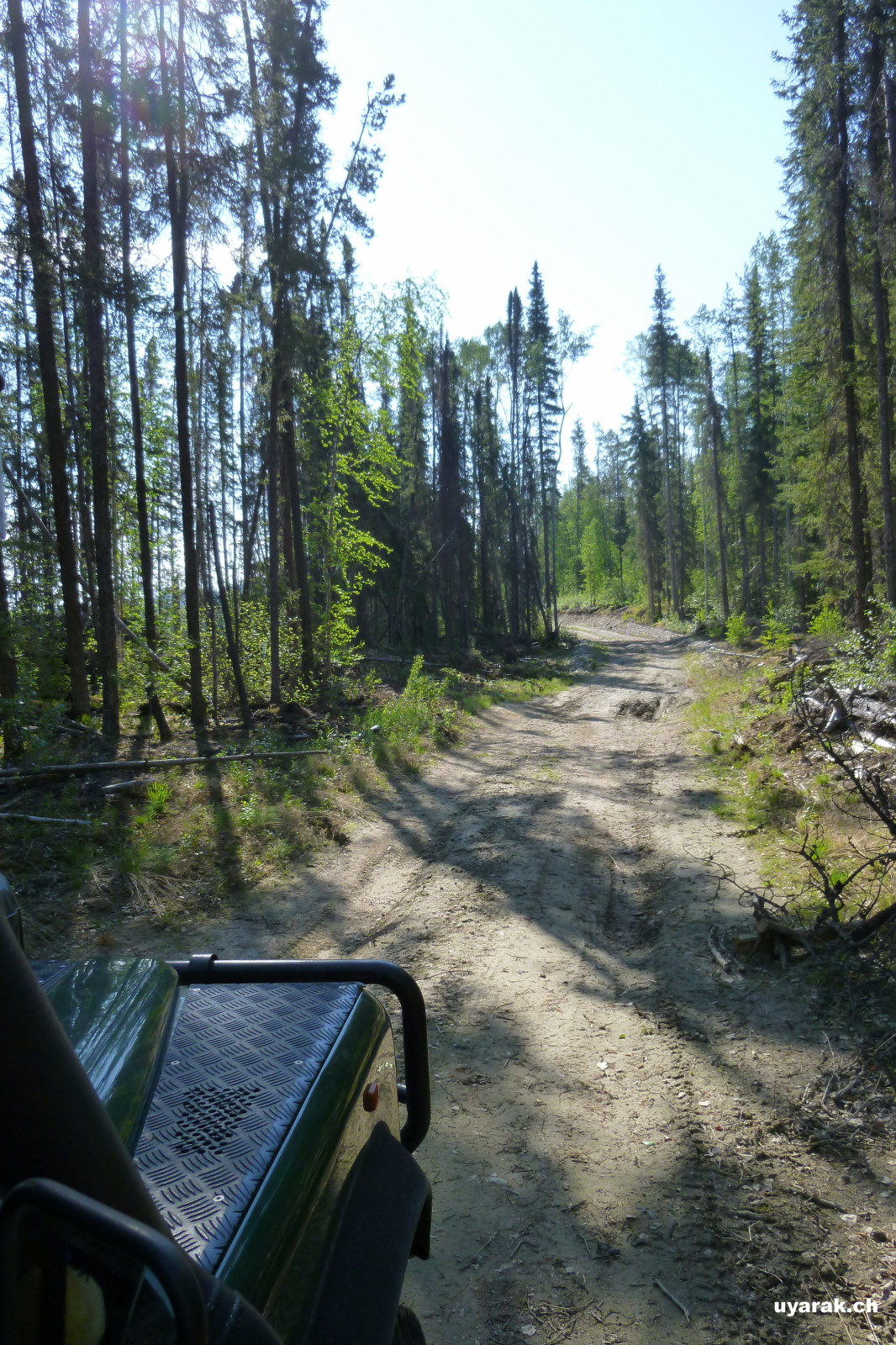 Auf dem Weg zurück zum Alaska Highway, Hyland River, BC