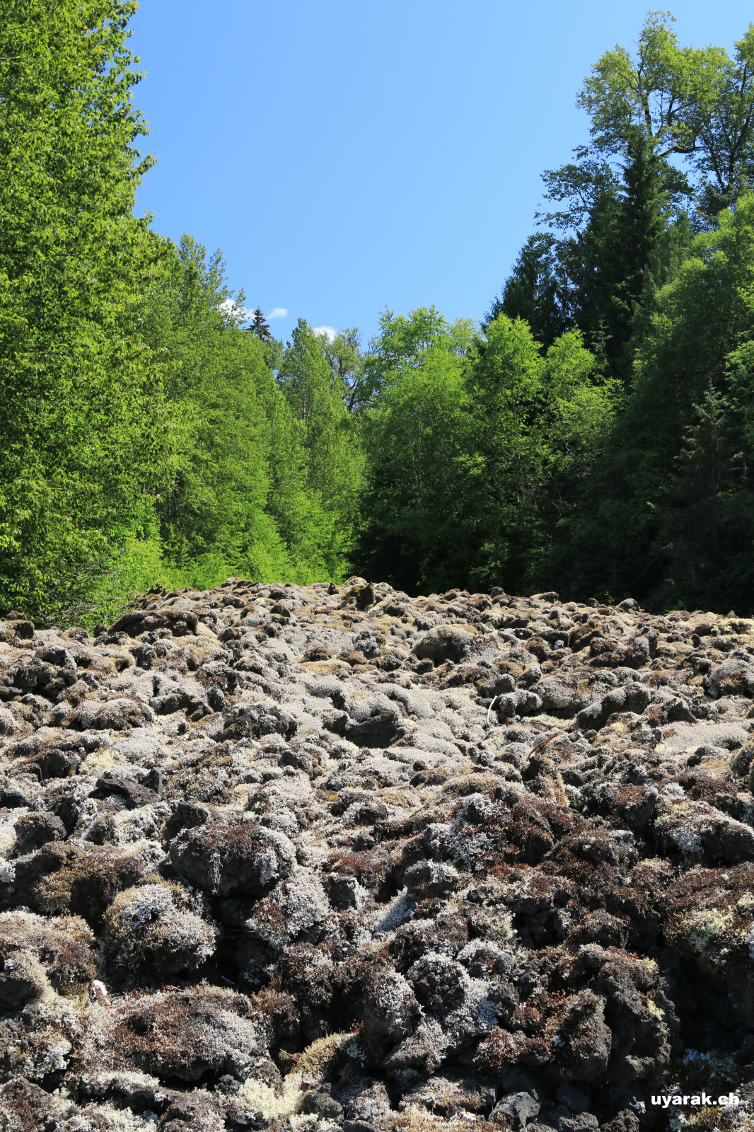Nisga'a Memorial Lava Bed Provincial Park 