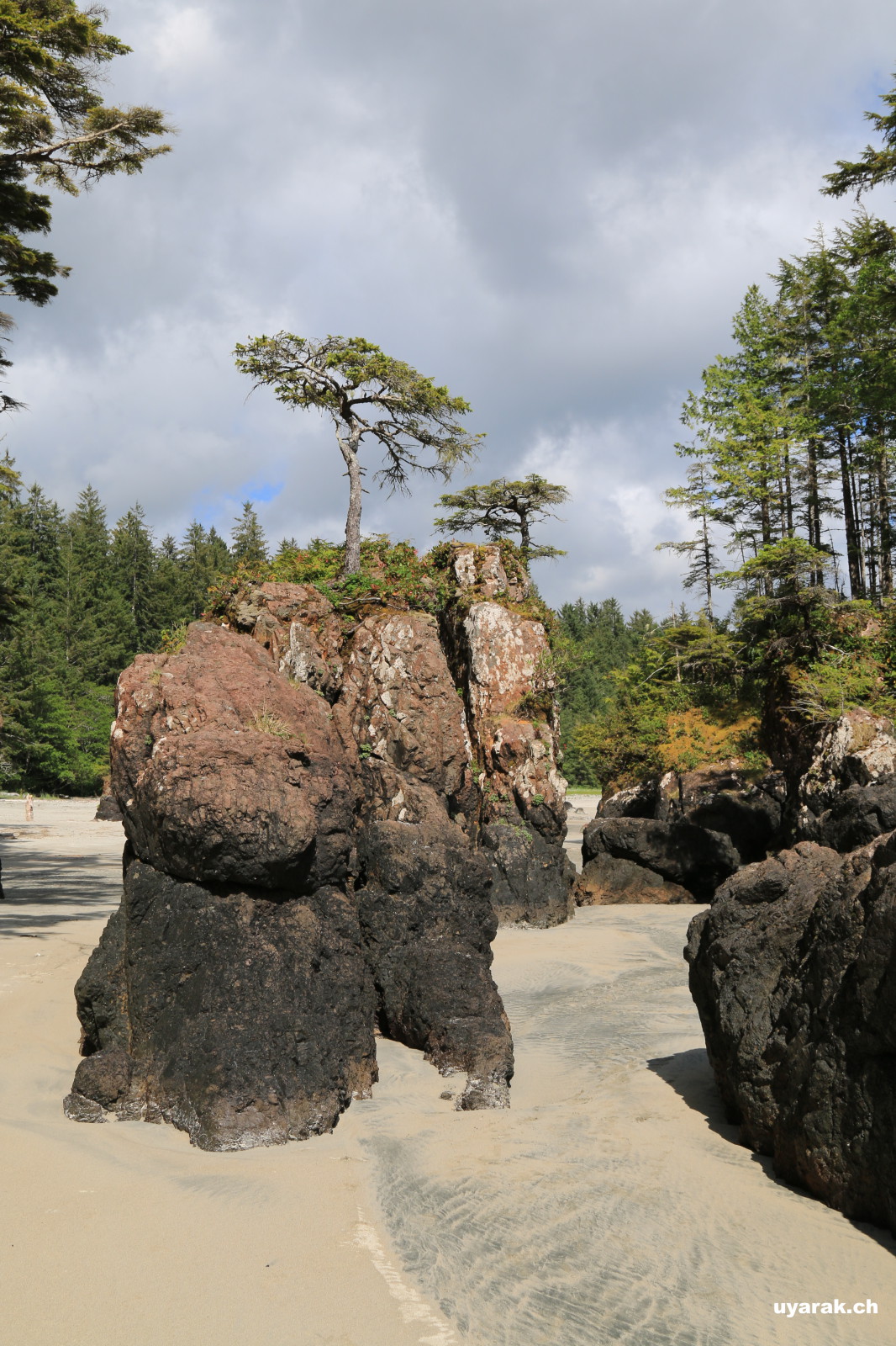 San Josef Bay, Northern Vancouver Island, BC 