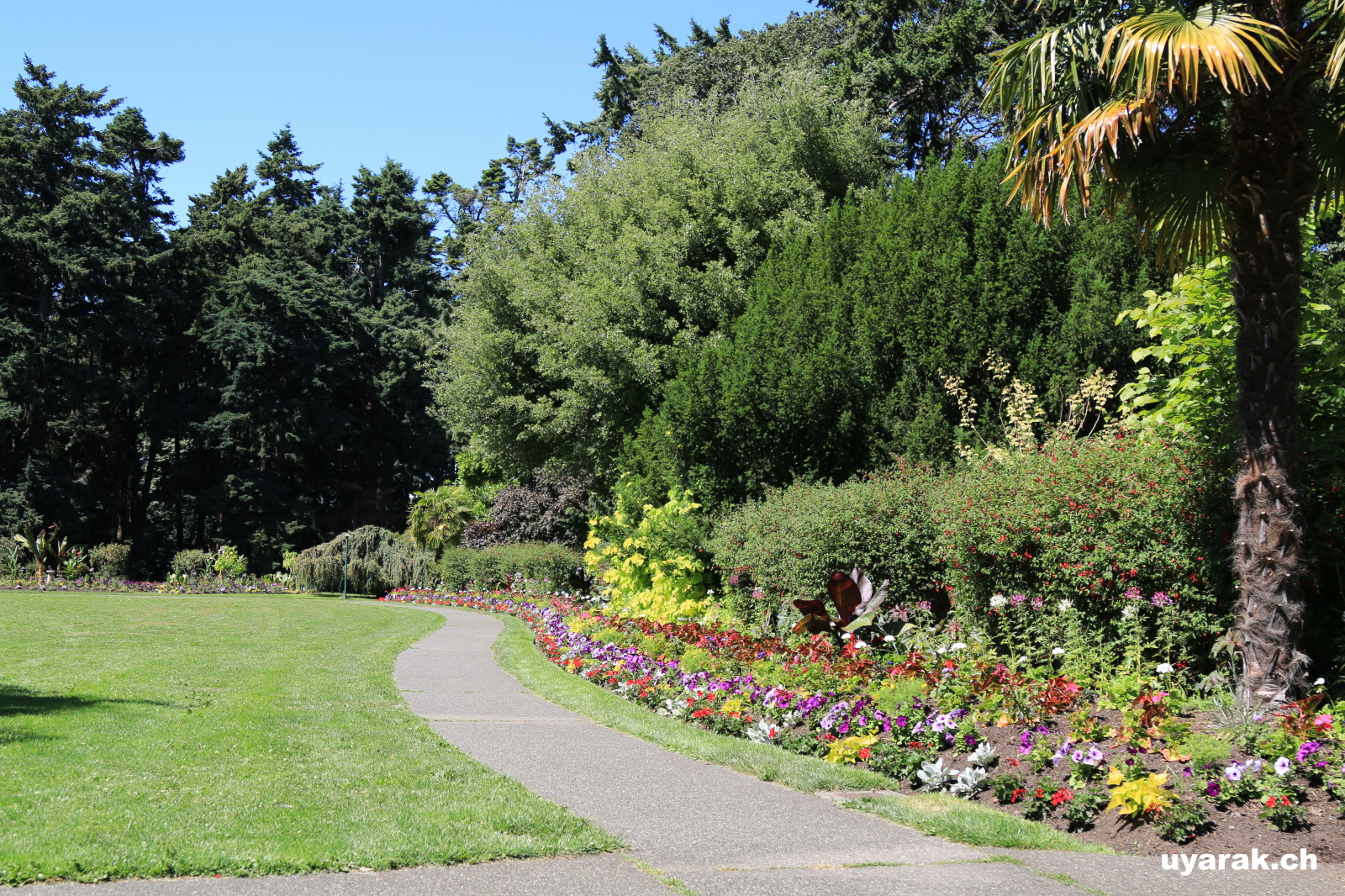Beacon Hill Park, Victoria, Vancouver Island, BC 