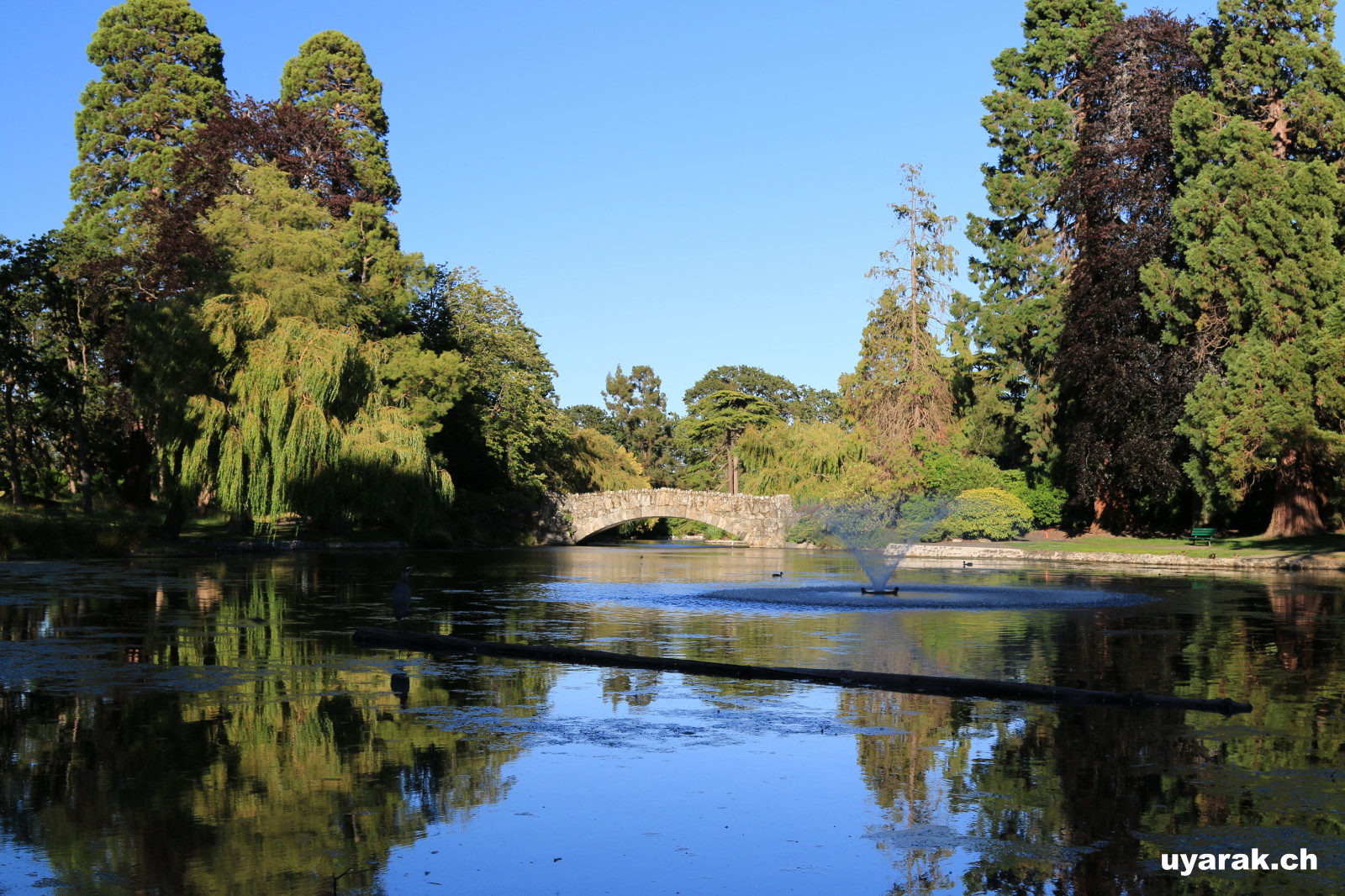 Beacon Hill Park, Victoria, Vancouver Island, BC 