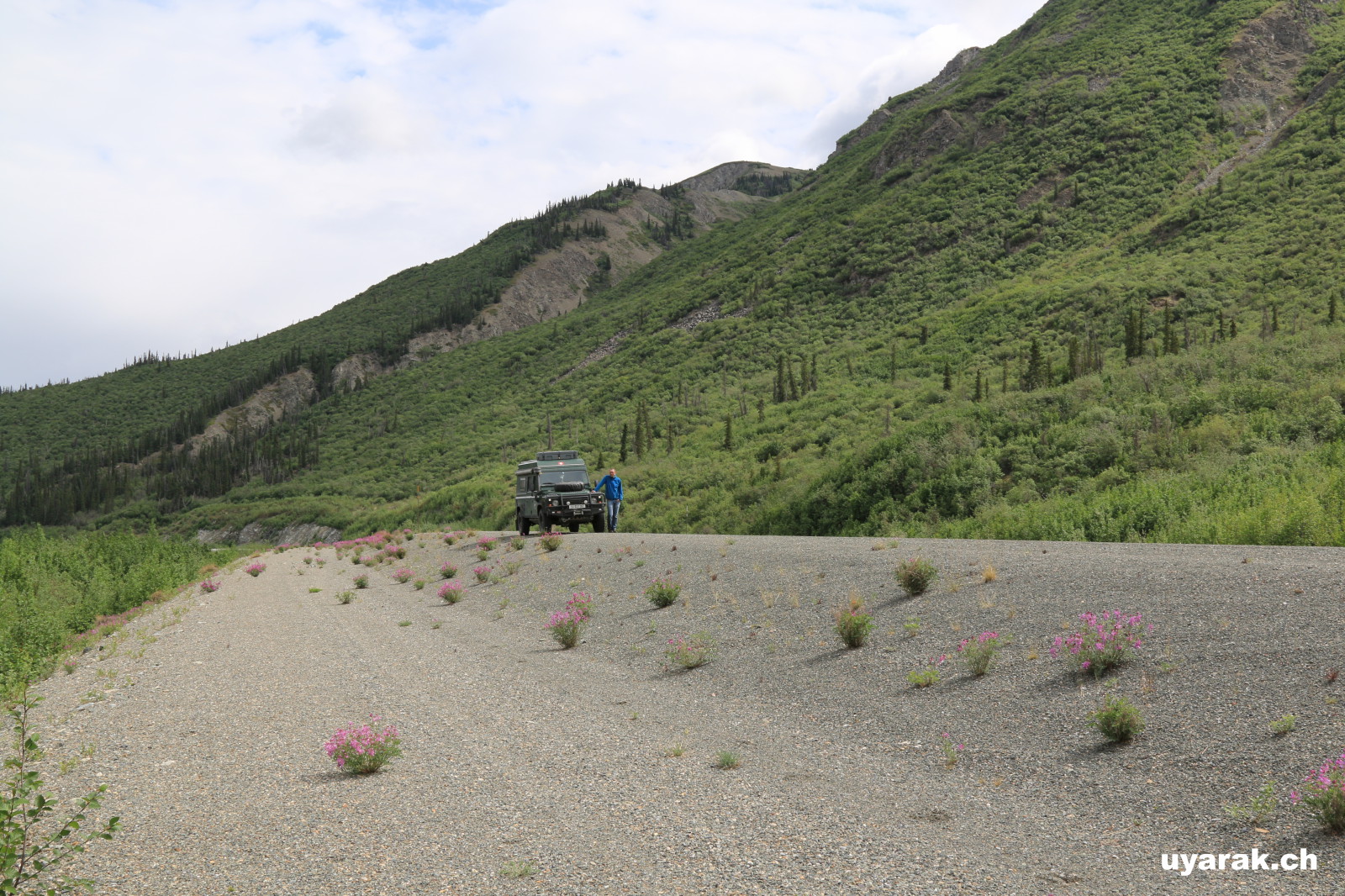 Am Kluane Lake entlang, Yukon