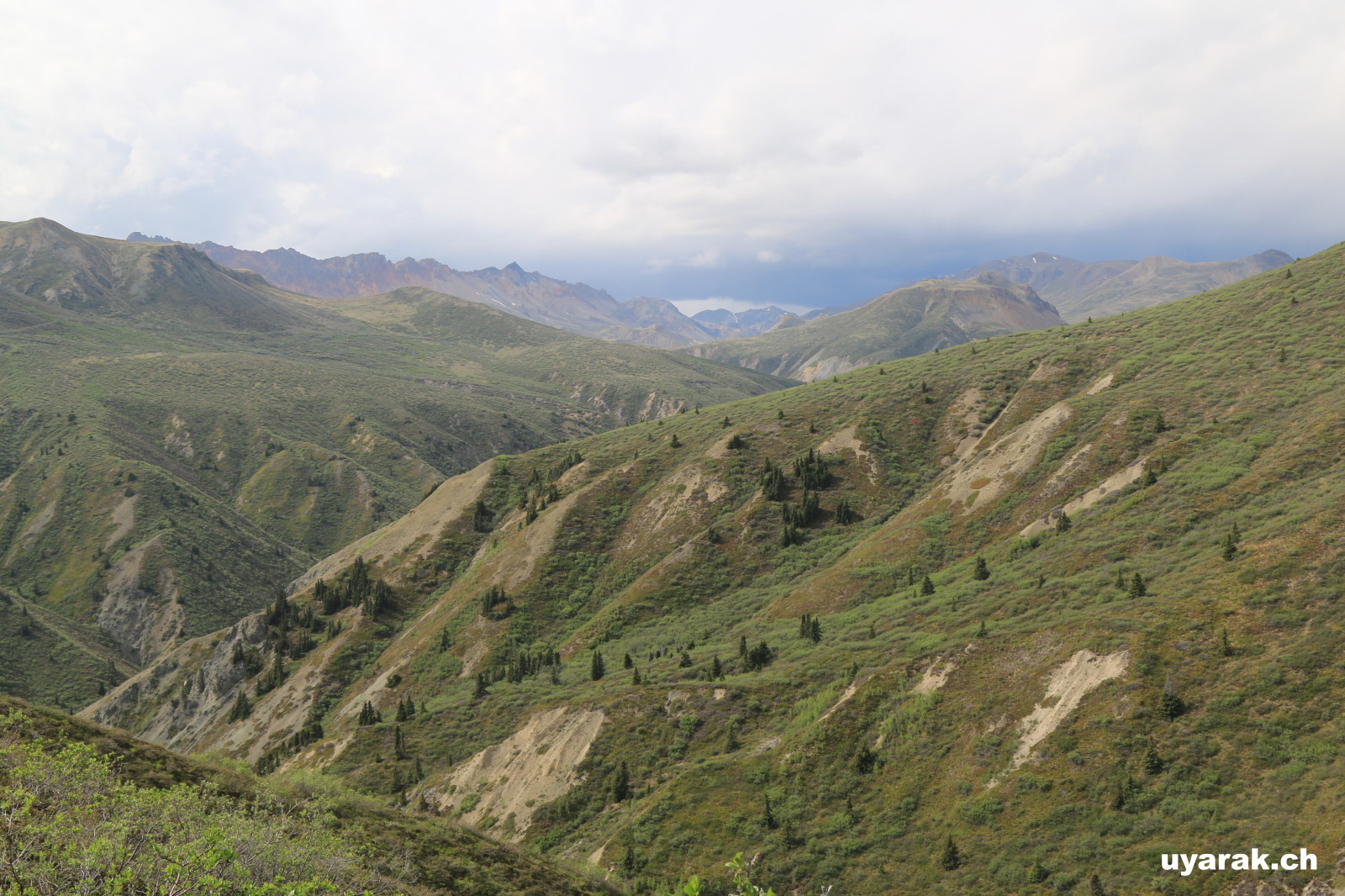 Sheep Creek, Kluane National Park, Yukon