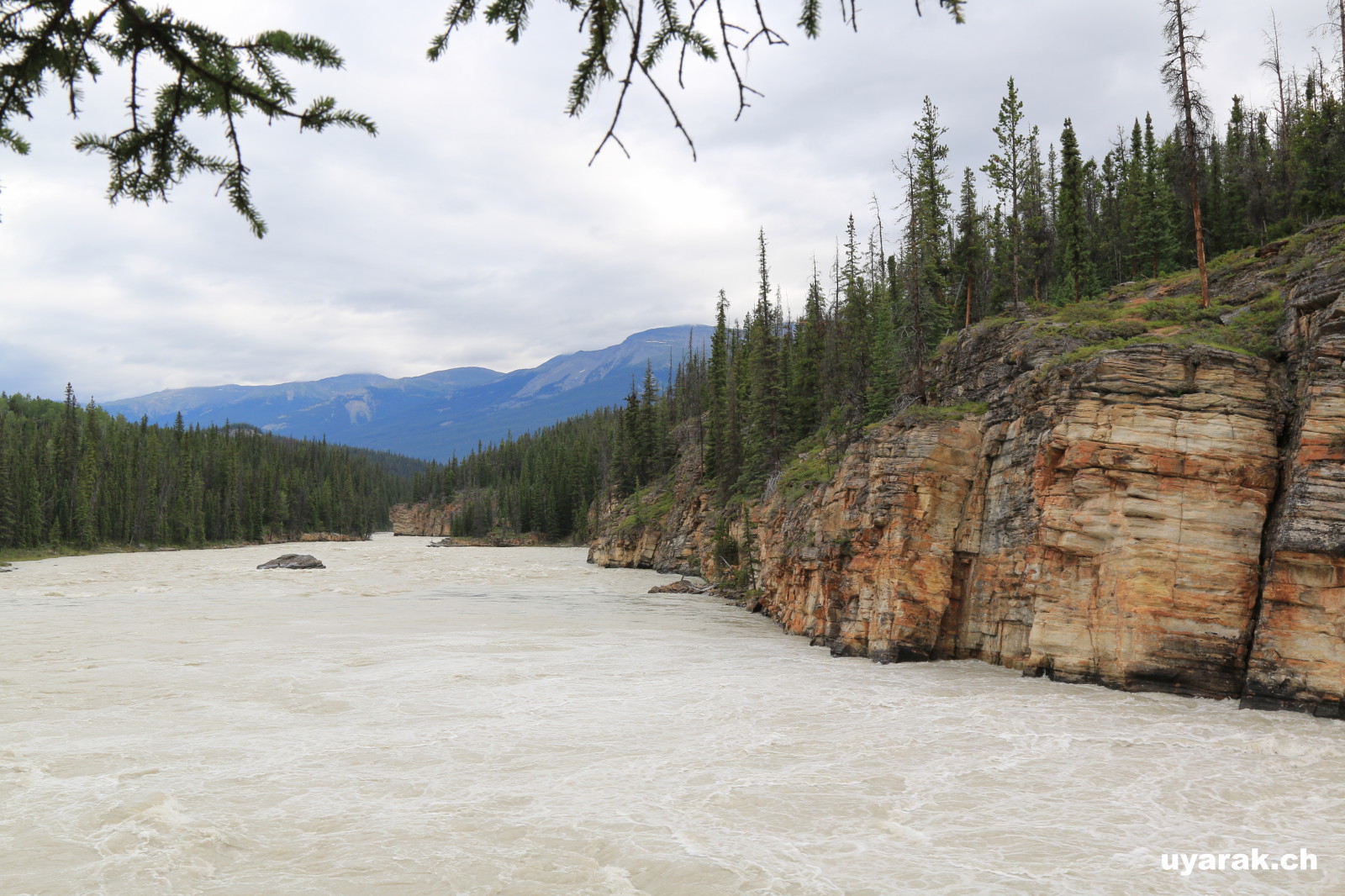 Athabasca River 
