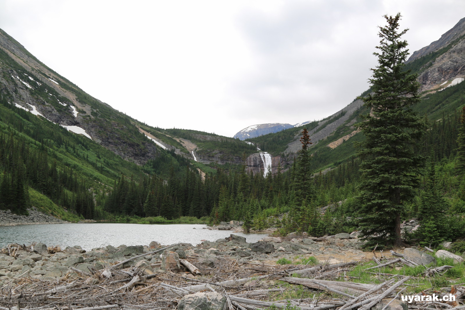 Geraldine Lake, Jasper National Park, Alberta 