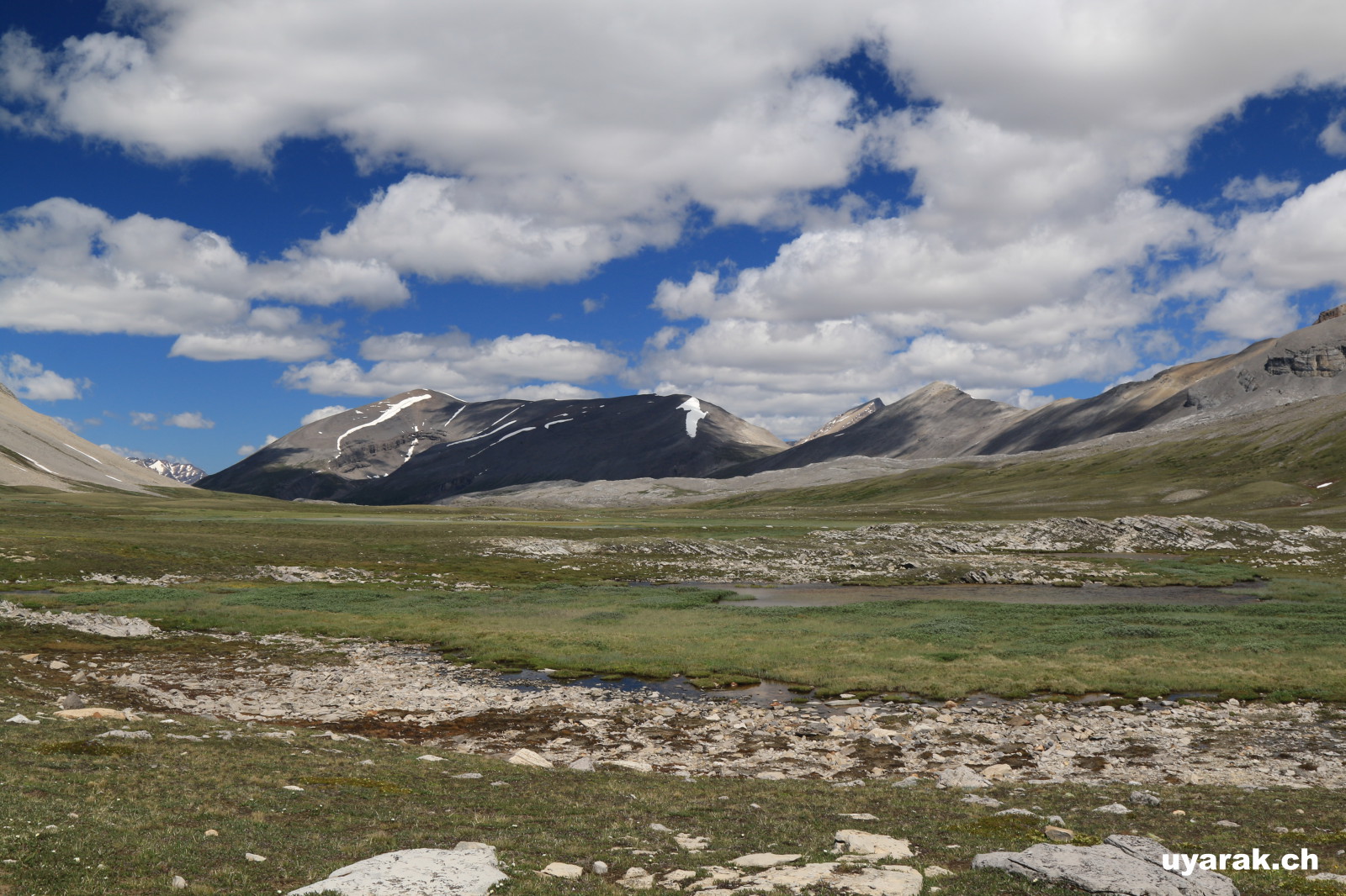 Wilcox Pass, Jasper National Park, Alberta 