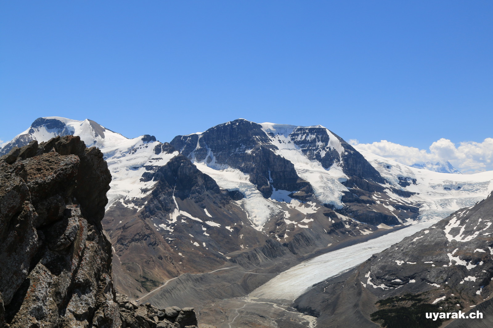 Blick vom Mount Wilcox auf den Athabasca Glacier, Jasper NP, Alberta 