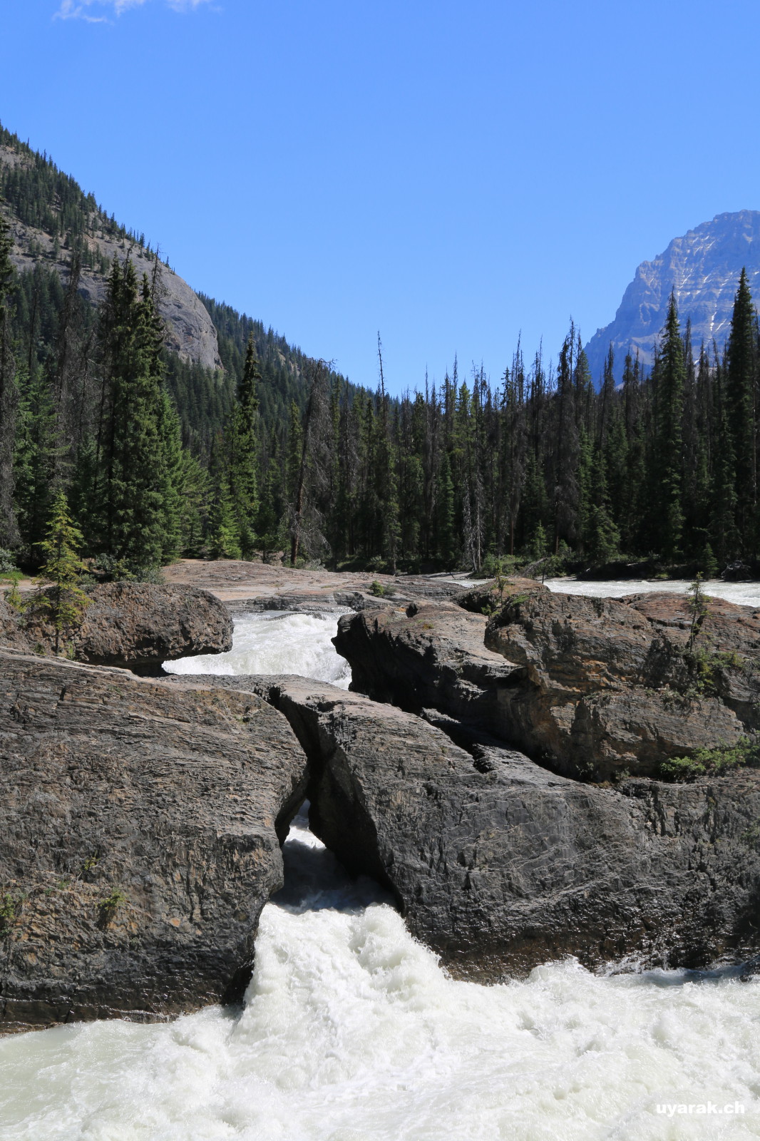 Natural Bridge, Yoho National Park, BC 