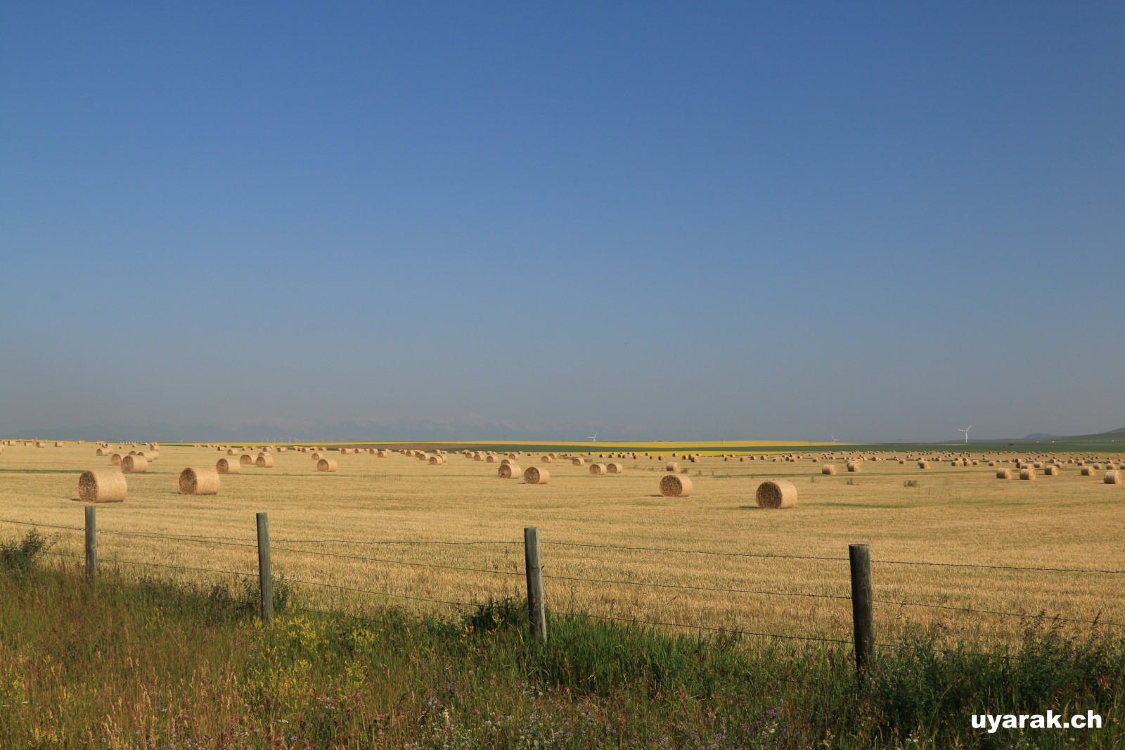 Pincher Creek, Alberta 