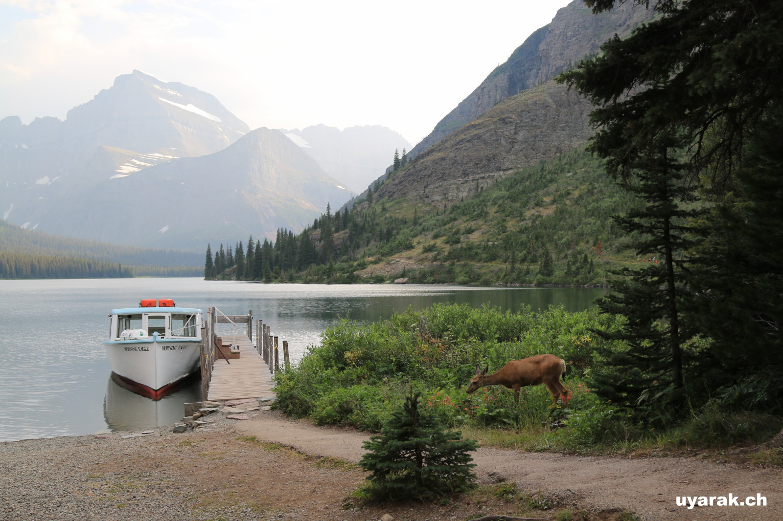 Lake Josephine, Glacier National Park 