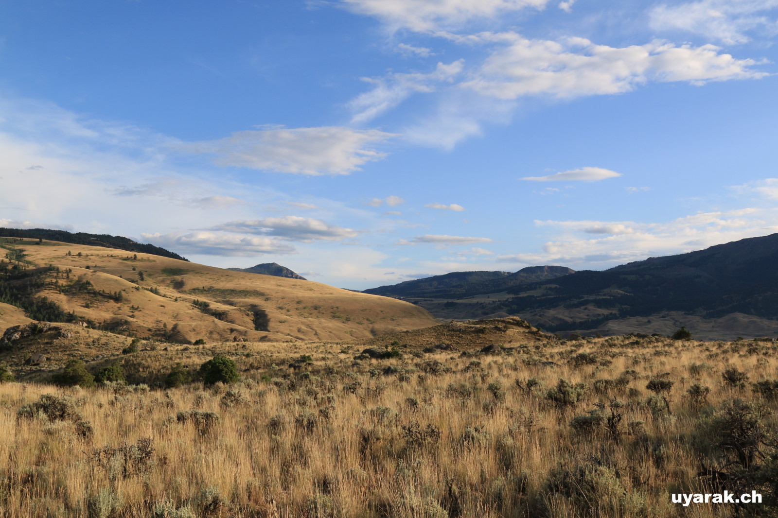 Eagle Creek bei Gardiner, Montana 