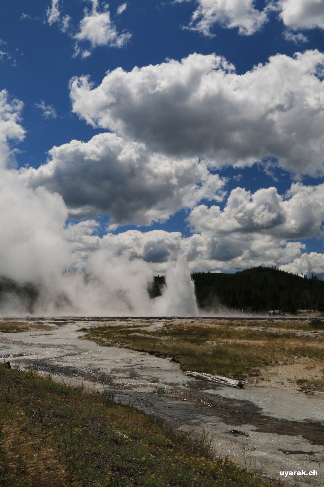 Great Fountain Geyser, Yellowstone National Park, Wyoming 