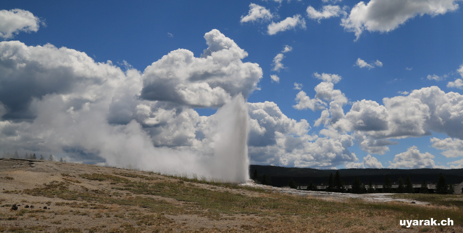Old Faithful Geyser, Yellowstone National Park, Wyoming 