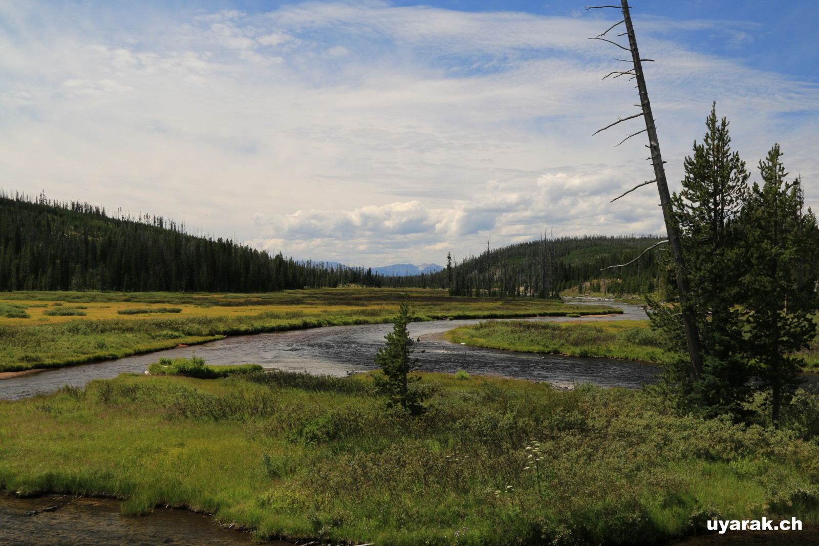 In der Nähe der Moose Falls, Yellowstone National Park, Wyoming 