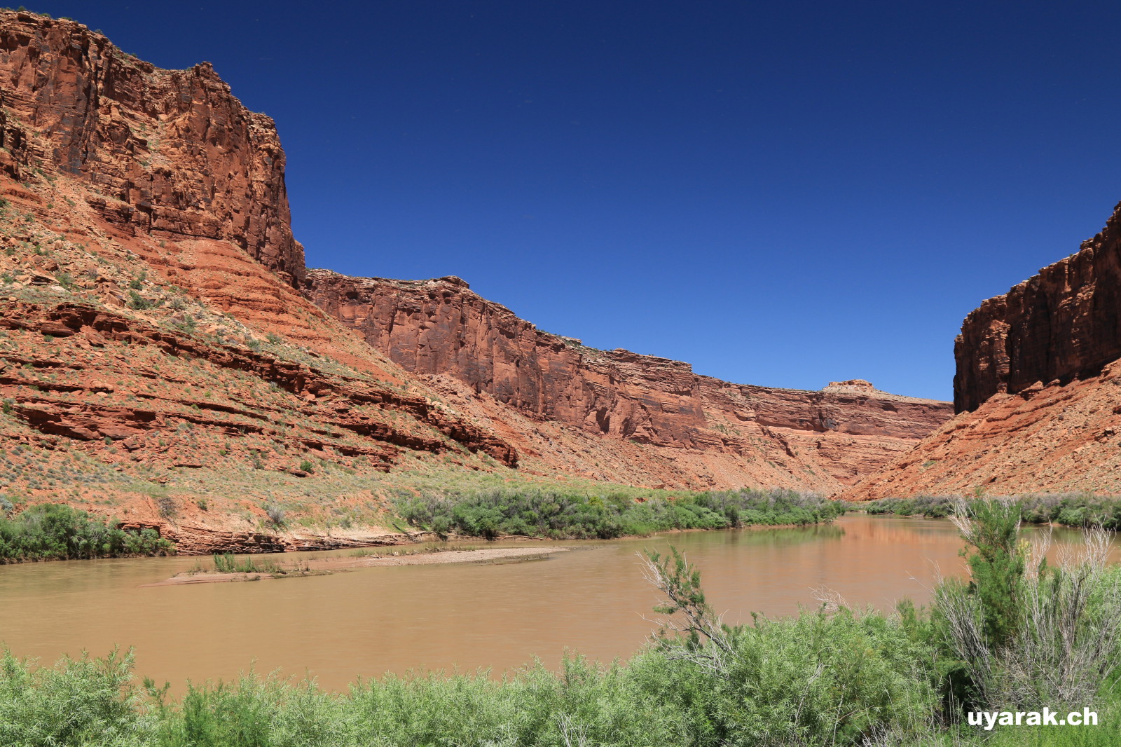 Colorado River am Highway 128, Utah