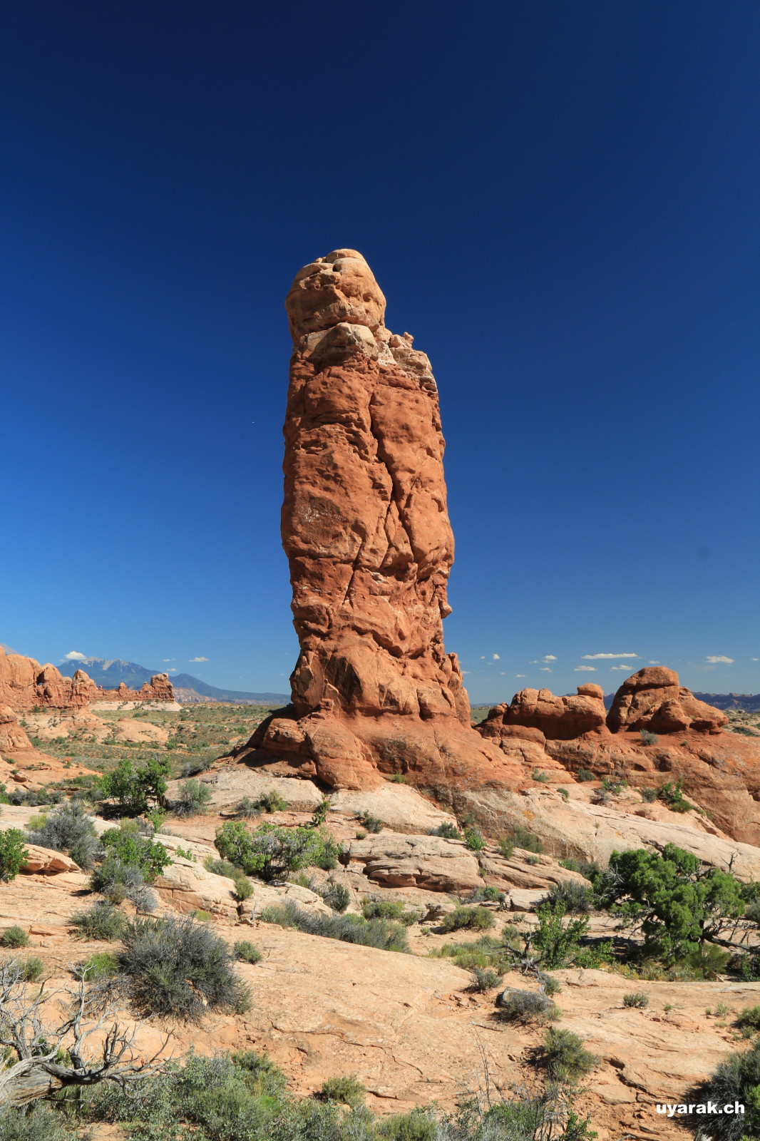 Steinnadel im Arches National Park, Utah