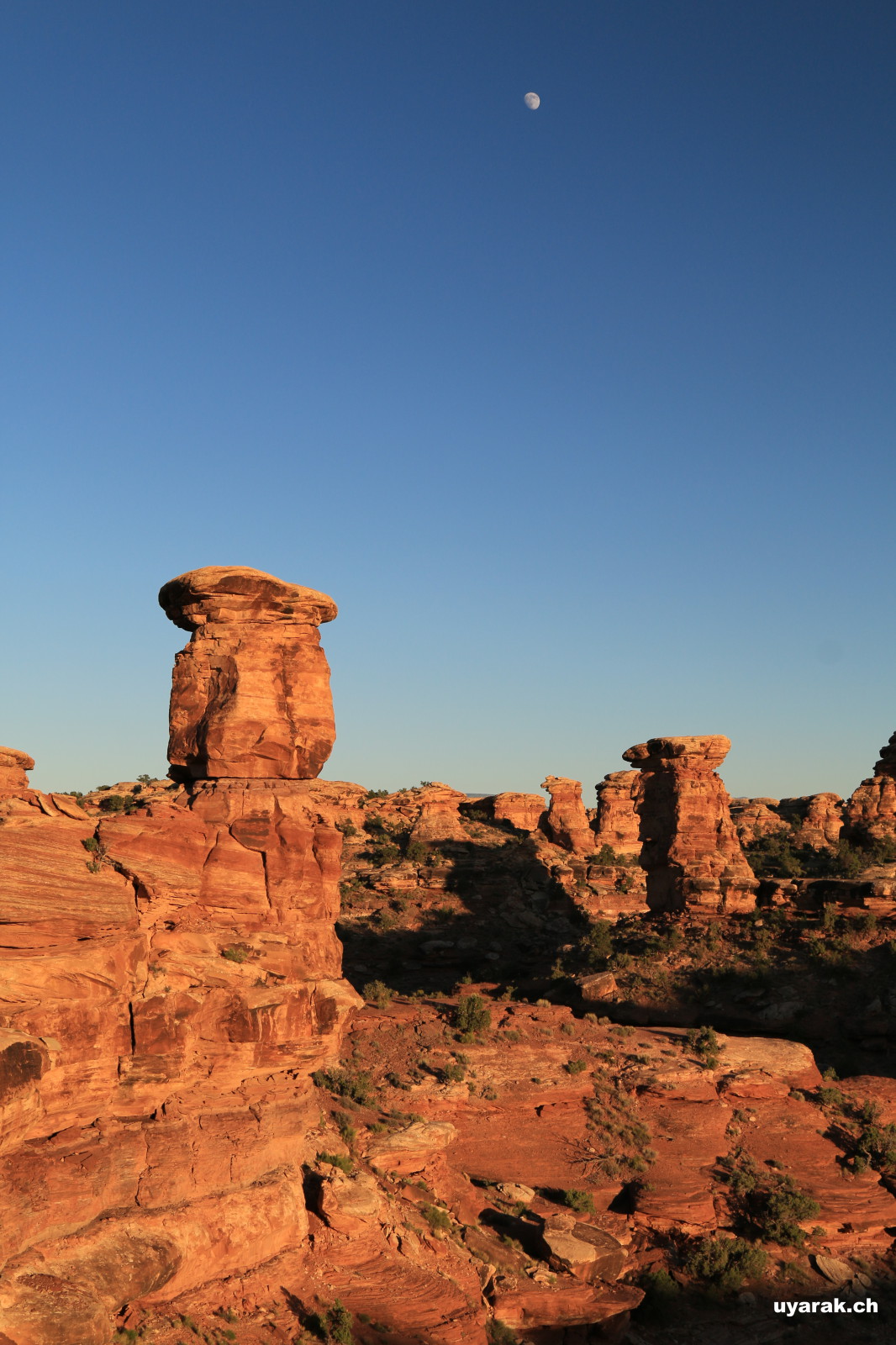Big Spring Canyon Overlook, Canyonlands National Park, Utah