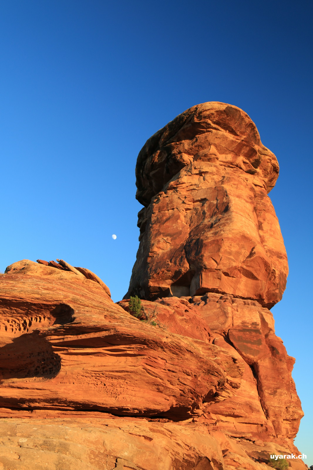 Big Spring Canyon Overlook, Canyonlands National Park, Utah
