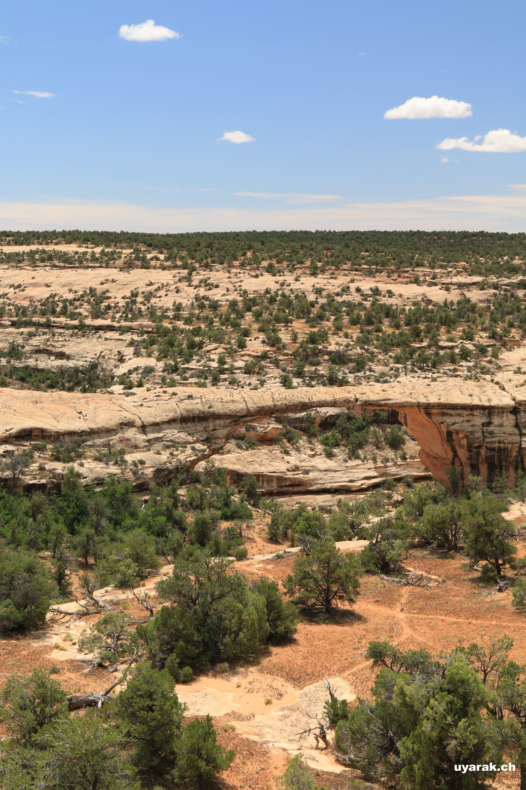 Owachomo Bridge, Natural Bridges National Monument, Utah