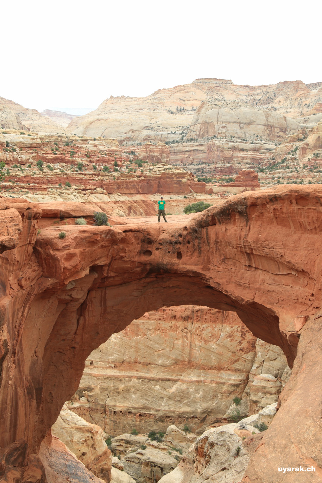 Cassidy Arch, Capitol Reef National Park, Utah