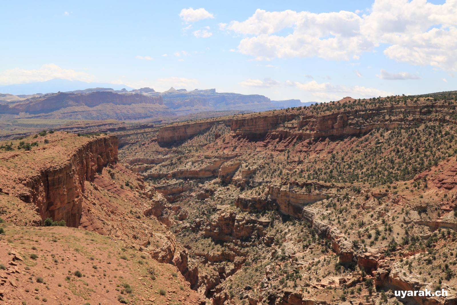 Sulphur Creek, Capitol Reef National Park, Utah