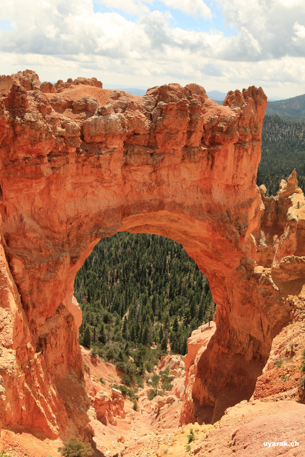 Natural Bridge Bryce Canyon National Park, Utah