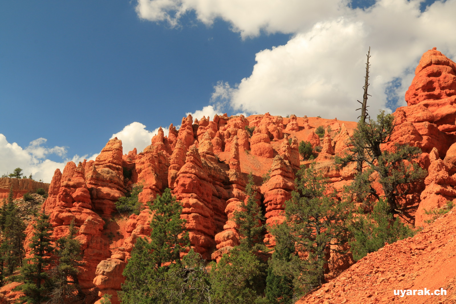 Red Canyon, Dixie National Forest, Utah