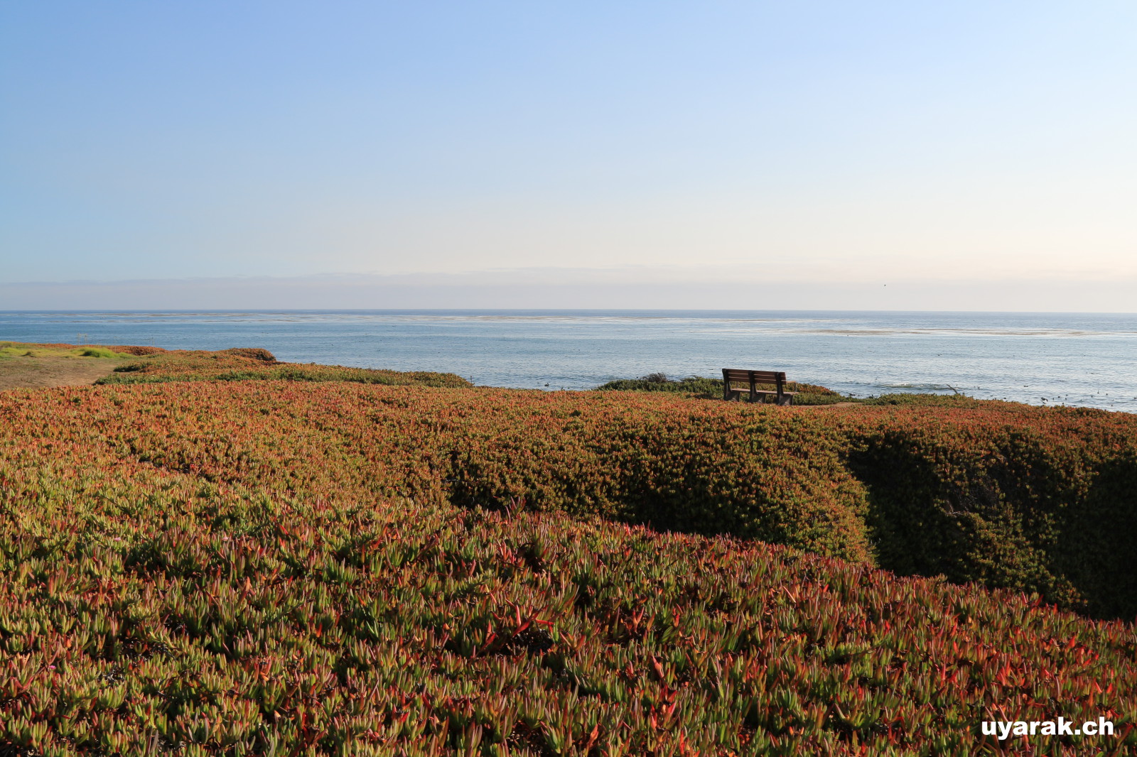 Küste bei Cambria, California