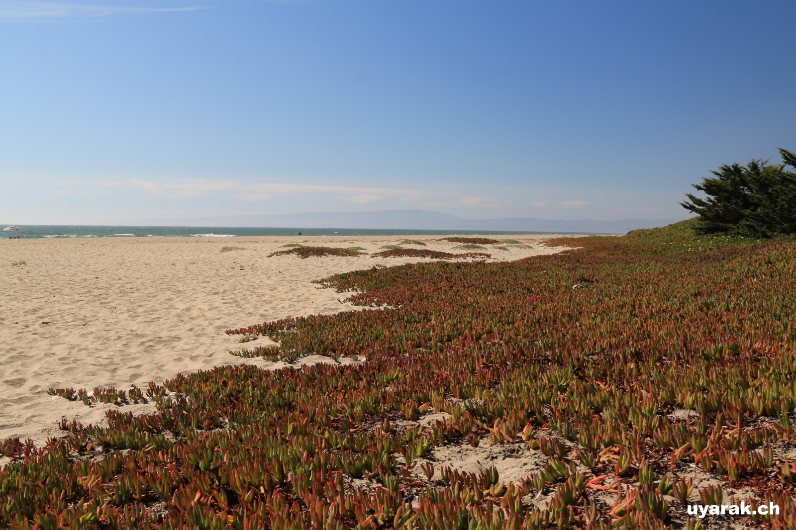 Sunset State Beach, California