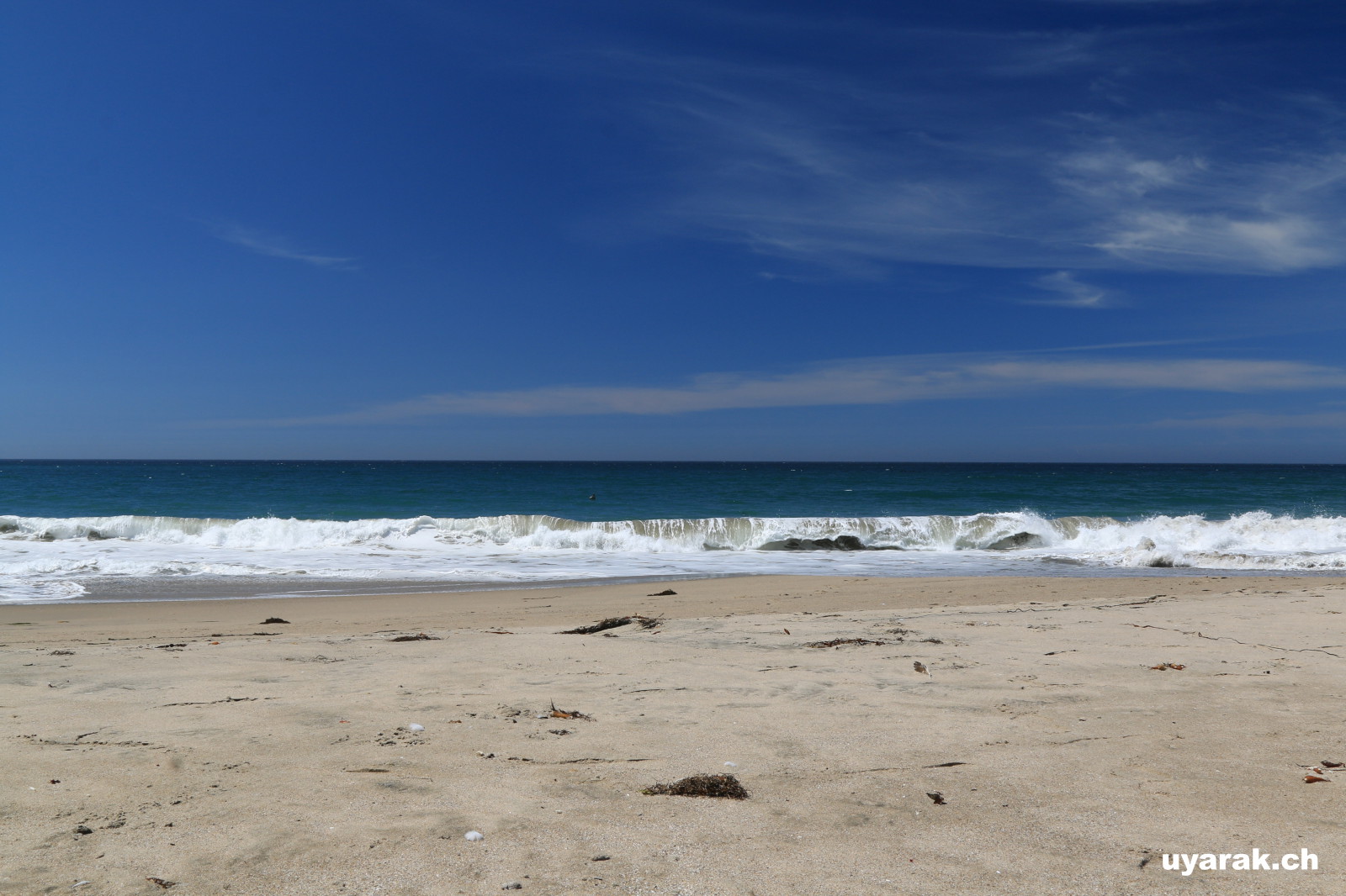Strand im Big Basin Redwoods State Park, California