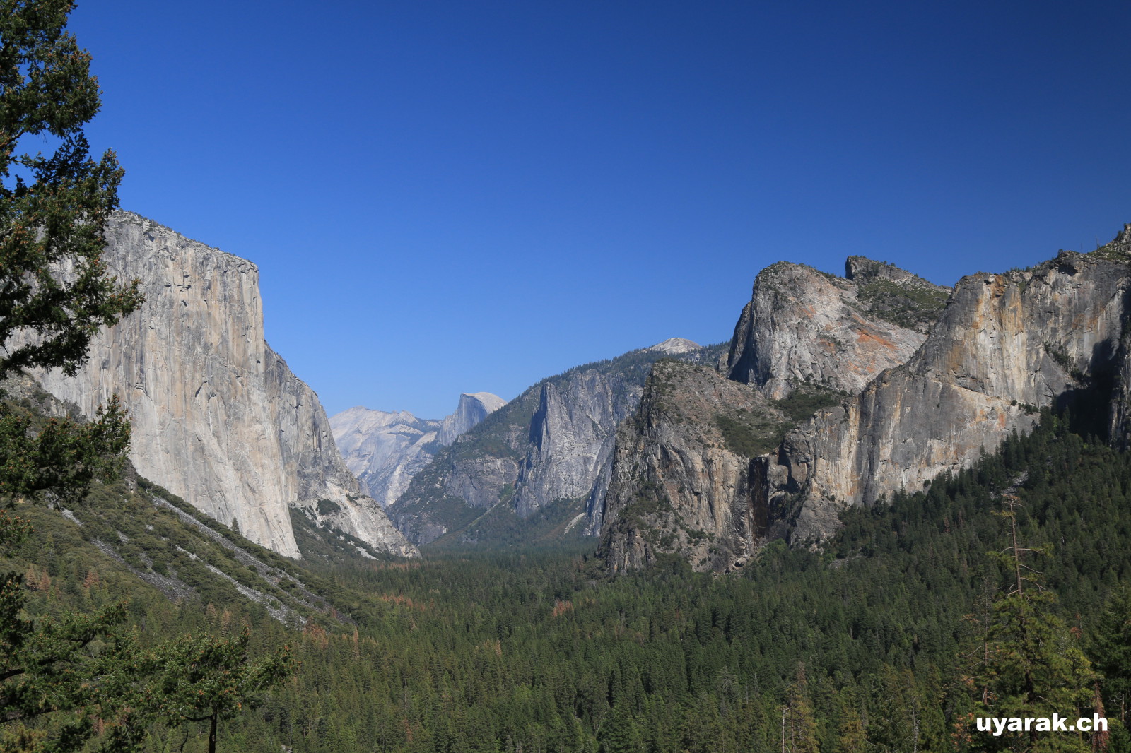 Yosemite Valley mit Half Dome im Hintergrund, Yosemite National Park