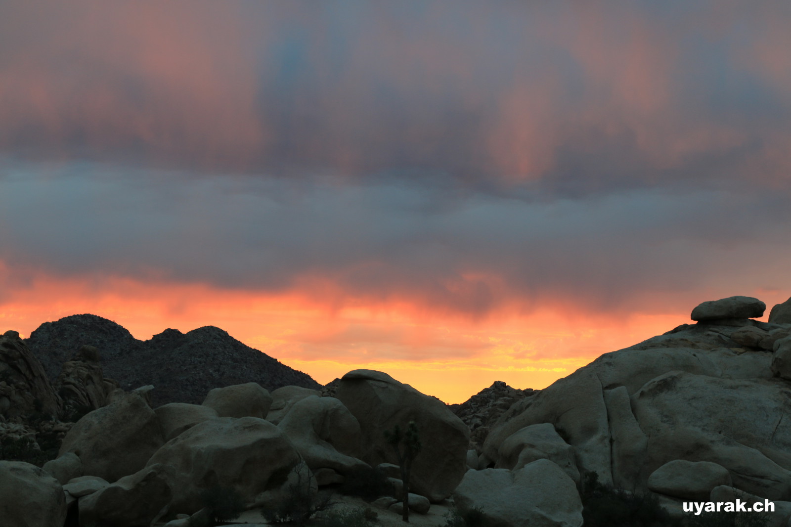 Sonnenuntergang im Joshua Tree National Park, California