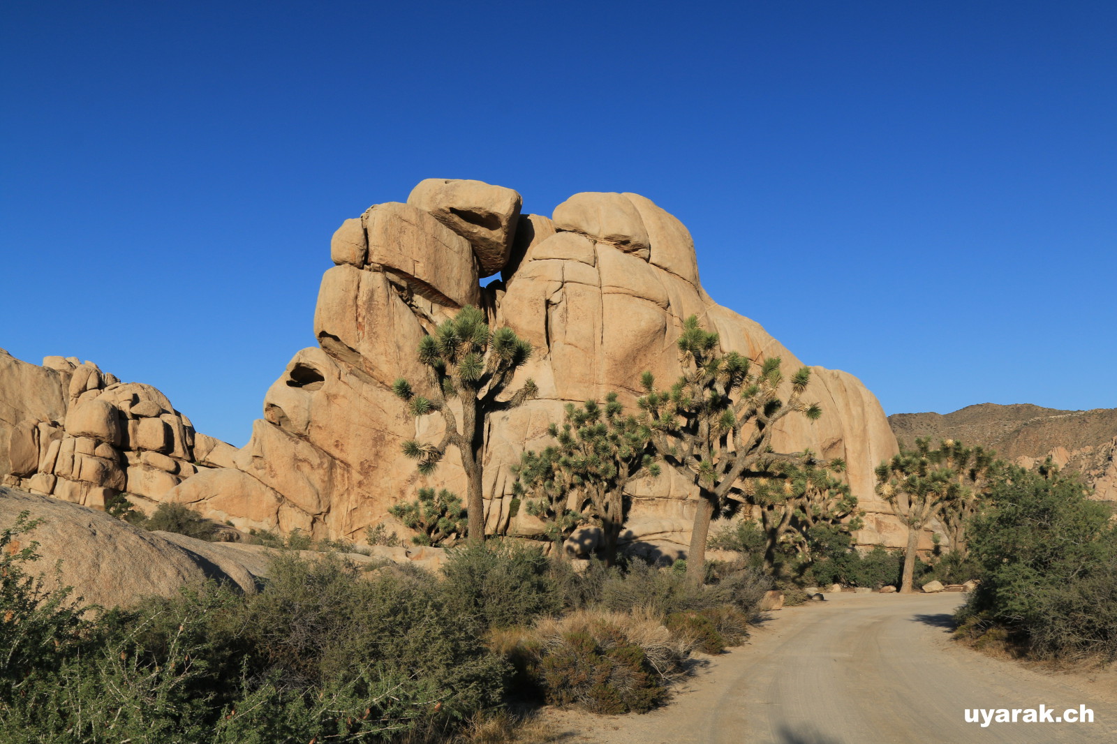 Joshua Tree National Park, California