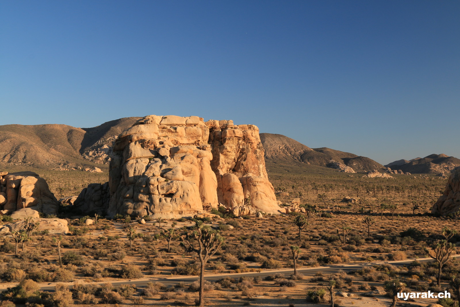 Joshua Tree National Park, California