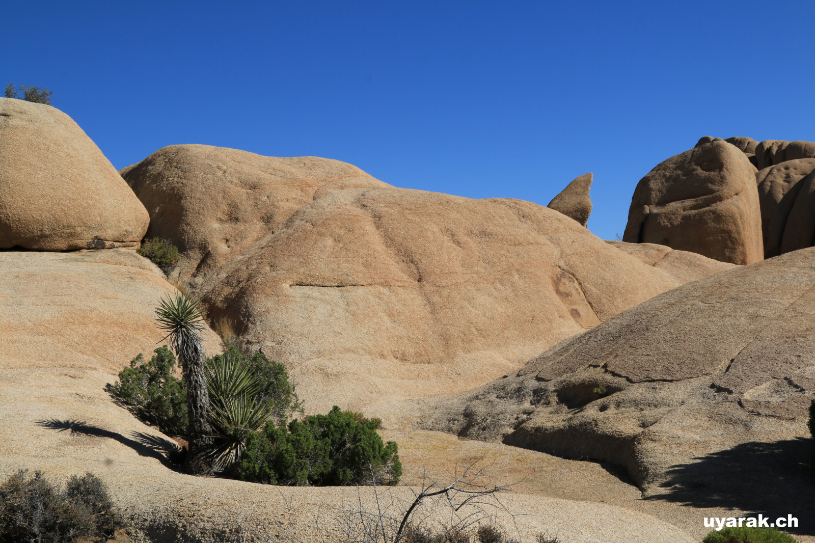 Joshua Tree National Park, California